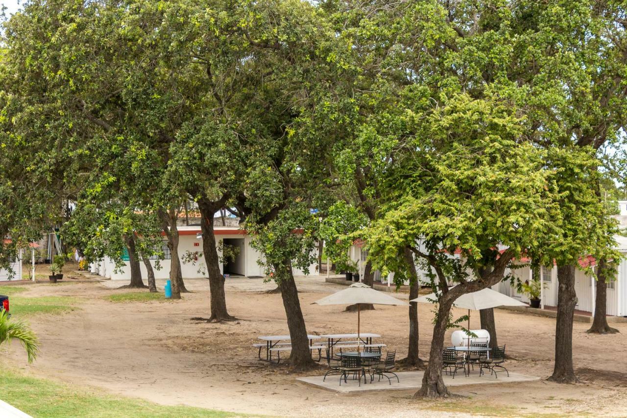 Bonitto Inn Tampico Altamira ภายนอก รูปภาพ